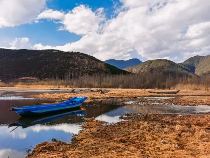 Casilando Kazino Mobilā lietotne